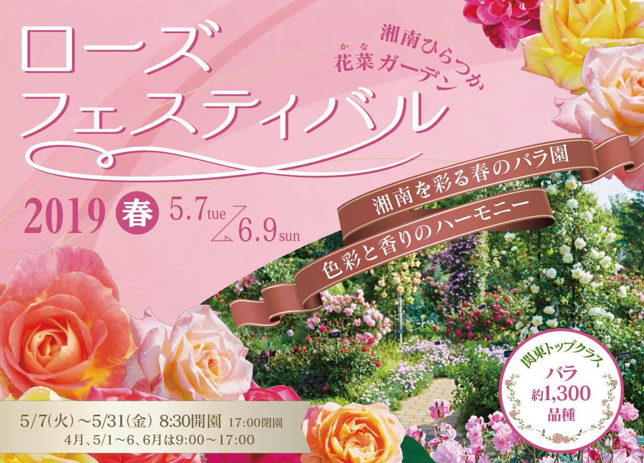 ローズフェスティバル19春 神奈川県立花と緑のふれあいセンター 花菜ガーデン