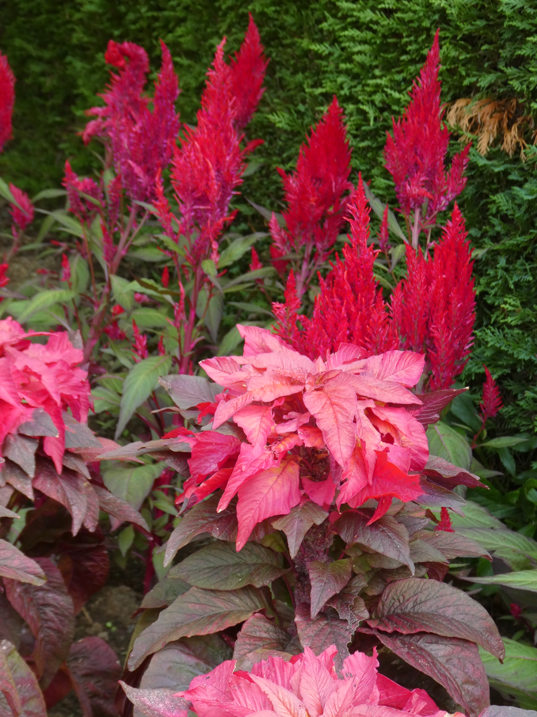 2faa5da32b0764d08bcbdee6e70b55