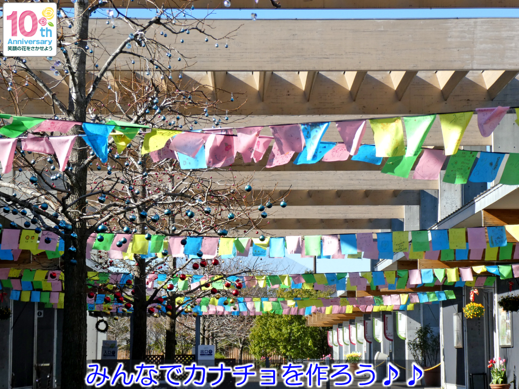 神奈川県立花と緑のふれあいセンター 花菜ガーデン