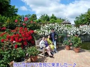 神奈川県立花と緑のふれあいセンター 花菜ガーデン