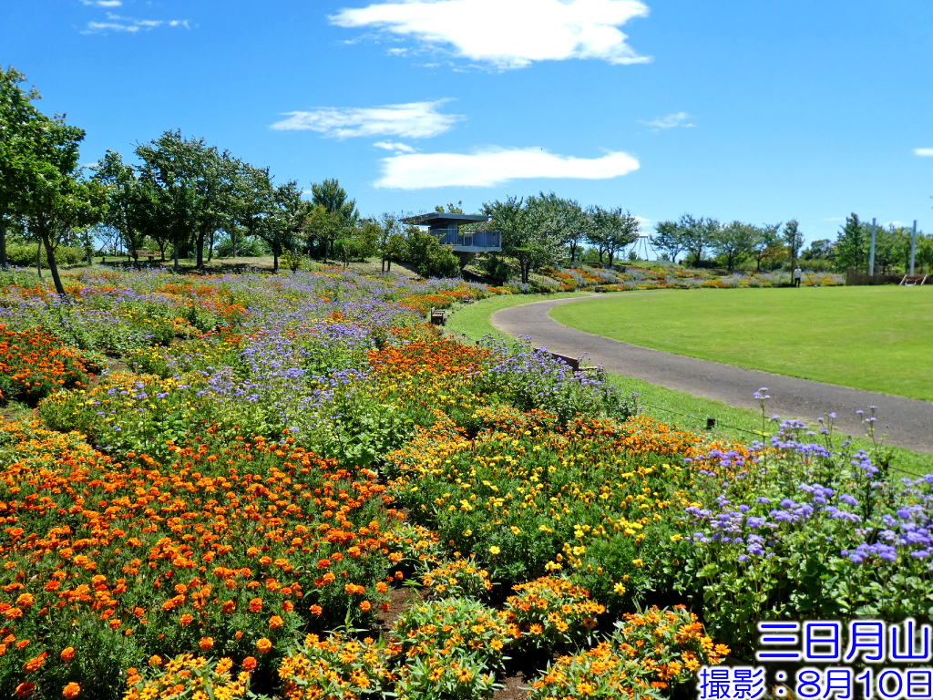 神奈川県立花と緑のふれあいセンター 花菜ガーデン