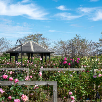 トップページ 神奈川県立花と緑のふれあいセンター 花菜ガーデン