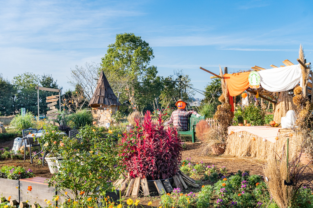 畑のハロウィーンパーティー - 神奈川県立花と緑のふれあいセンター