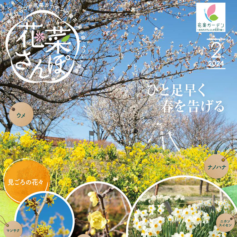 チラシ「花菜さんぽ」2月号ができあがりました。 - 神奈川県立花と緑の
