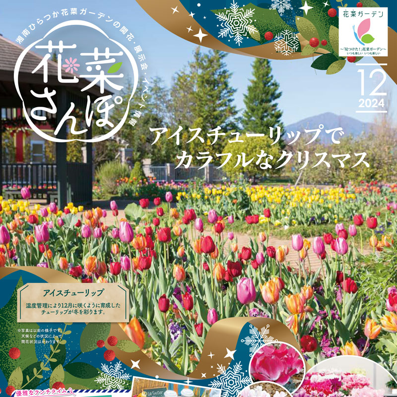 チラシ「花菜さんぽ」12月号ができあがりました。 - 神奈川県立花と緑