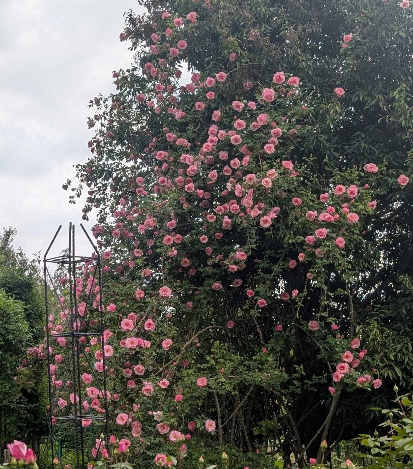 PXL_20250426_000616243.MP_-