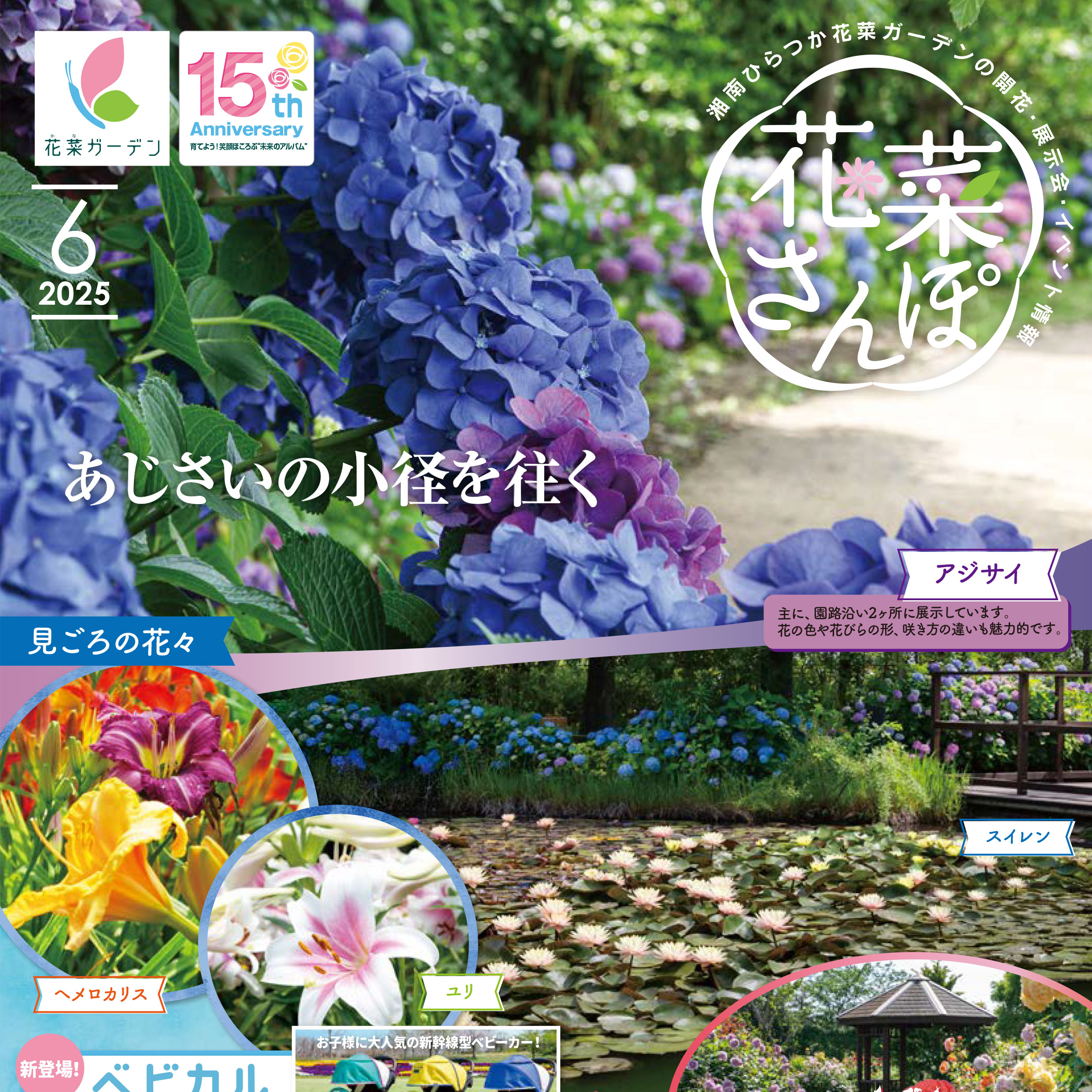 菜花ページ チラシ「花菜さんぽ」6月号ができあがりました。 - 神奈川県立花と緑の