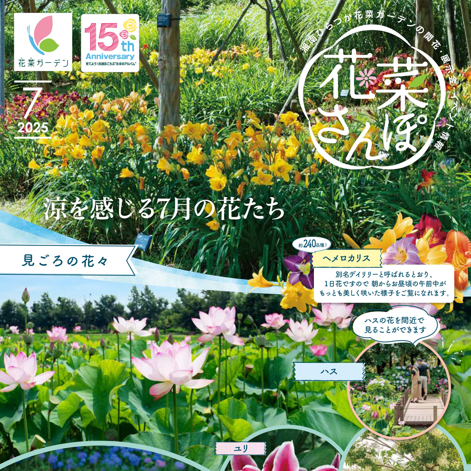 チラシ「花菜さんぽ」7月号ができあがりました。 - 神奈川県立花と緑の