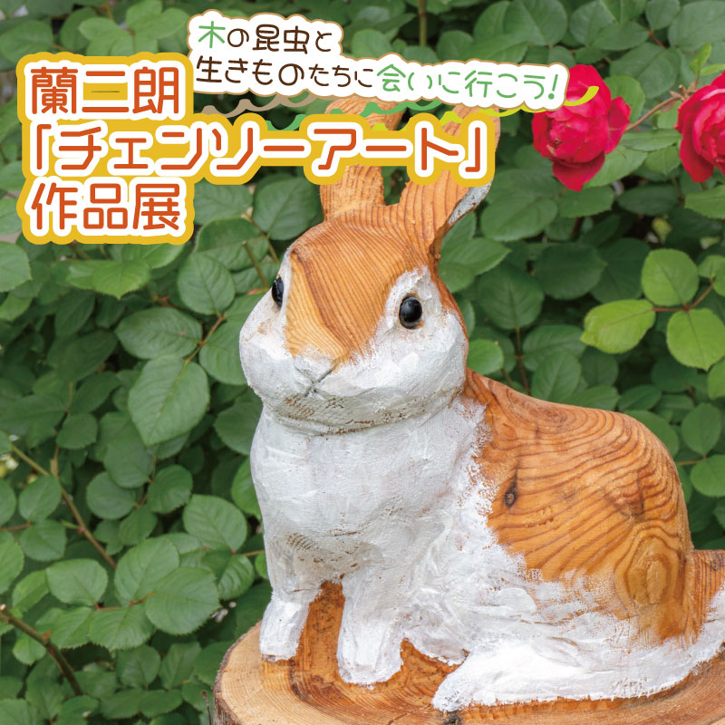 木の昆虫と生きものたちに会いに行こう！ 蘭二朗「チェンソーアート