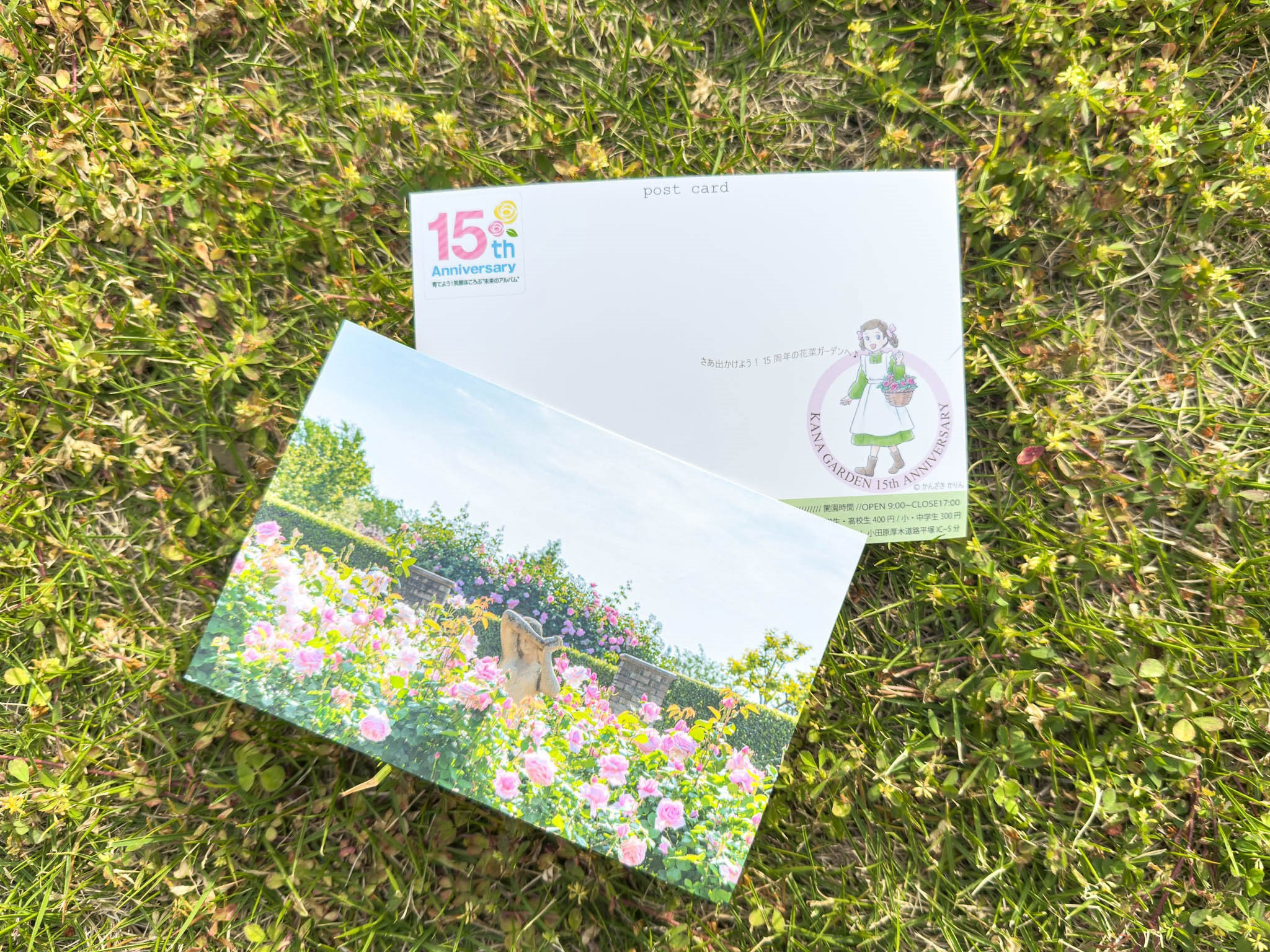 再掲/年間パスポートをお持ちの方限定/7月21日まで】「年間パスポート