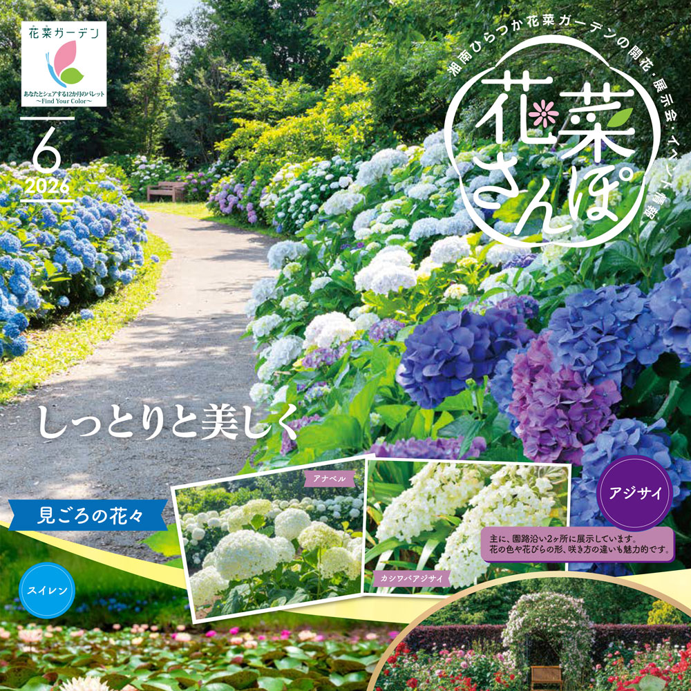 奈々花 花菜さんぽ」6月号ができあがりました。 - 神奈川県立花と緑のふれあい