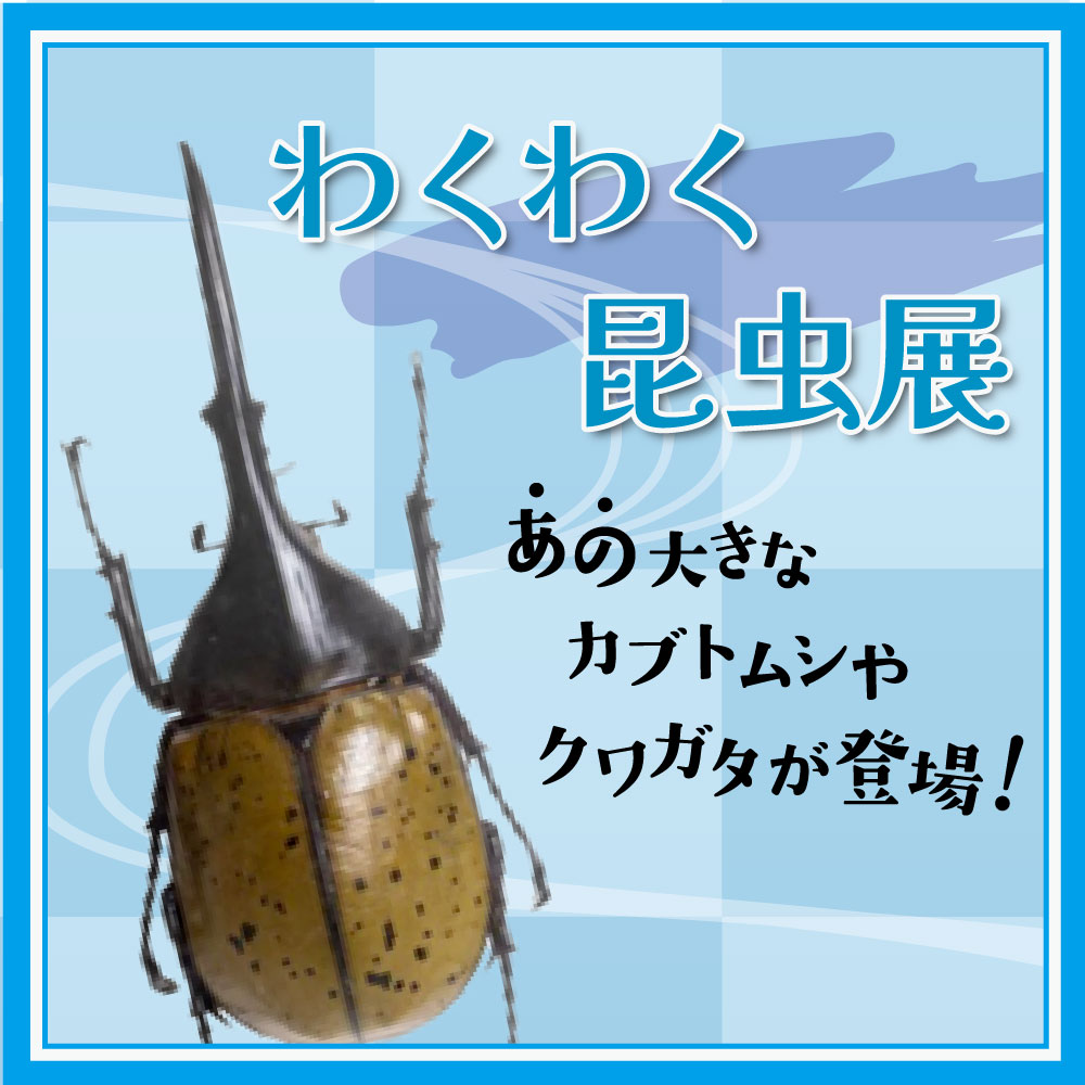 わくわく昆虫展 - 神奈川県立花と緑のふれあいセンター 花菜ガーデン